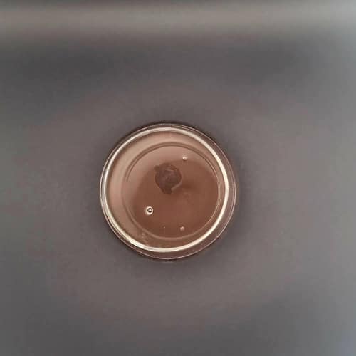 Hydrolysat de saumon liquide - ww.rgbouillettes.com